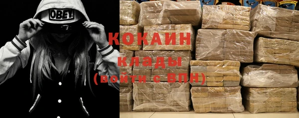 шишки Абинск