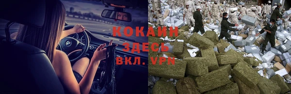 спиды Алзамай