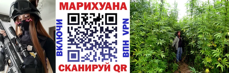 Марихуана ГИДРОПОН Зея